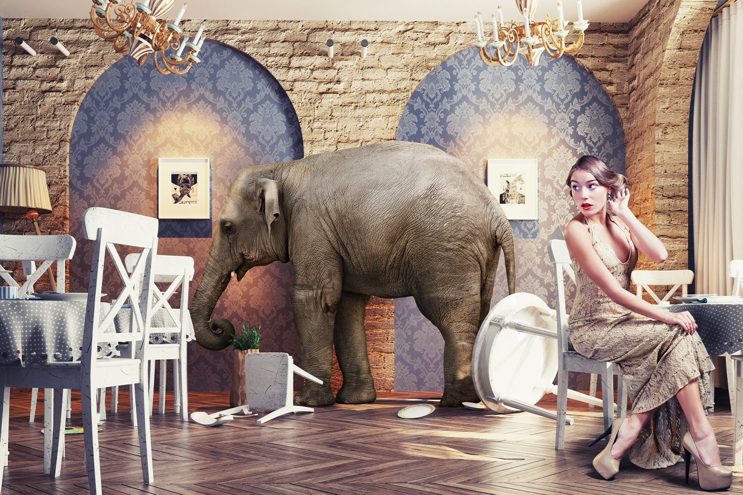 A woman preening and ignoring the elephant in the room, literally.
