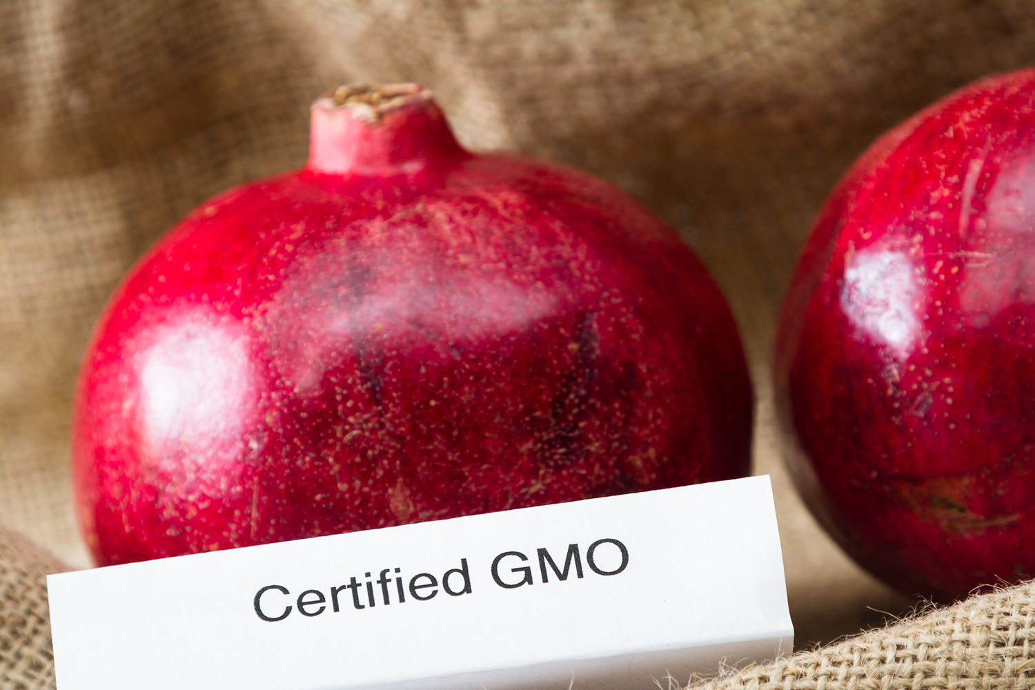 Some pomegranates labeled as "Certified GMO"