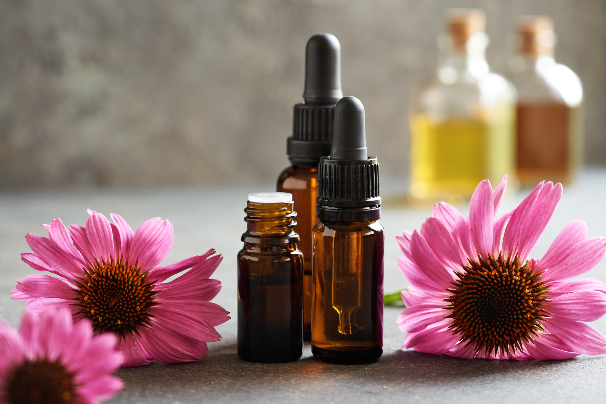 3 small amber bottles surrounded by purple echinacea blossoms
