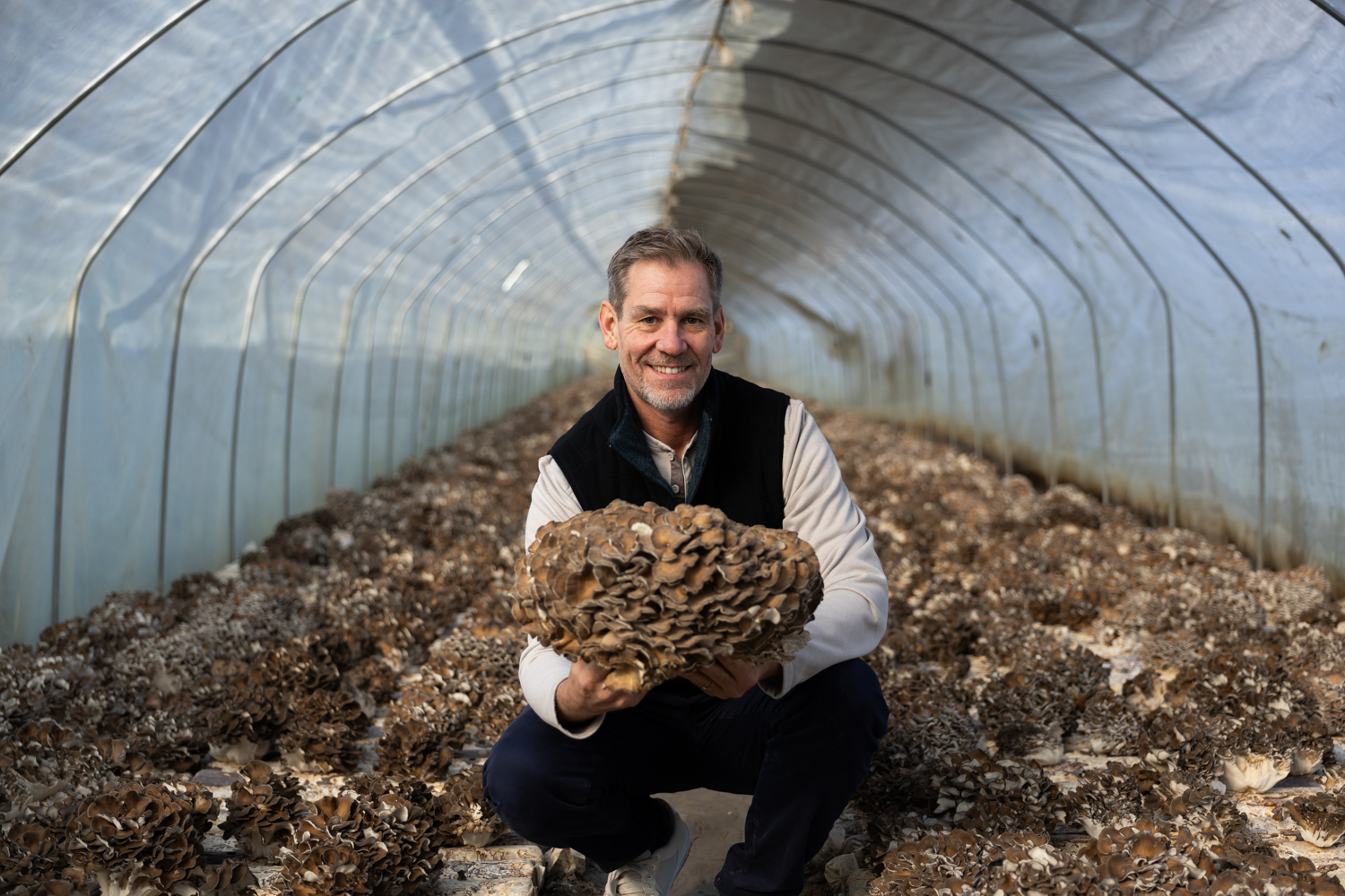 Man in a greenhouse holding up Maitake mushroom.
