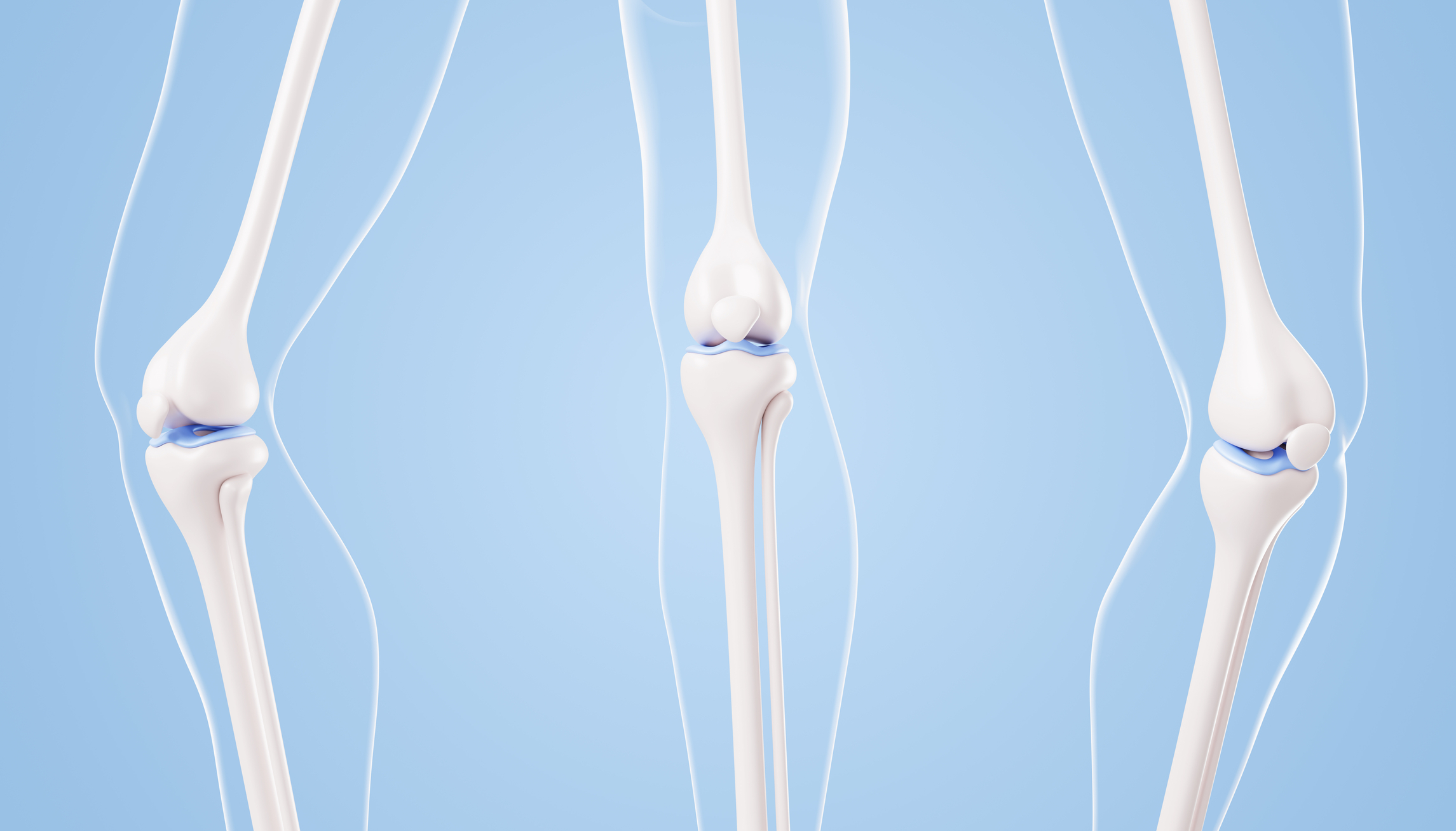 image of cartilage between bone