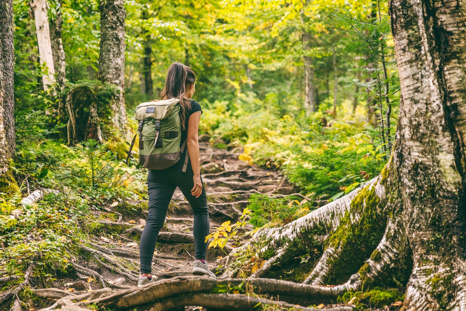 Woman hiking in forest
