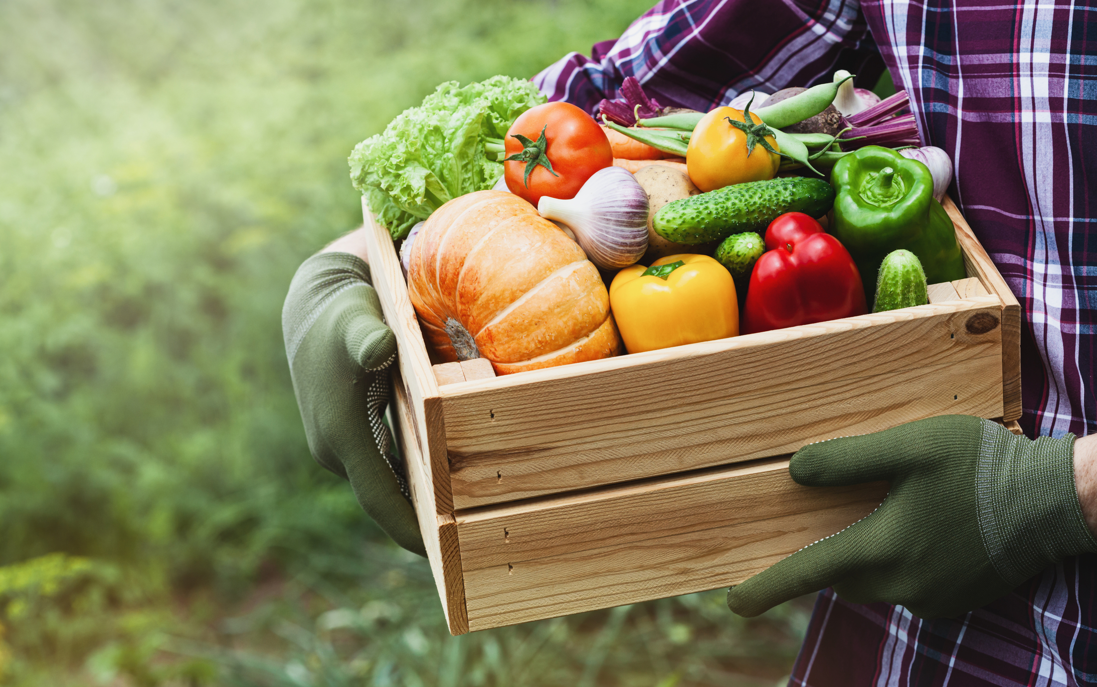 Farmer holding a box of fresh produce