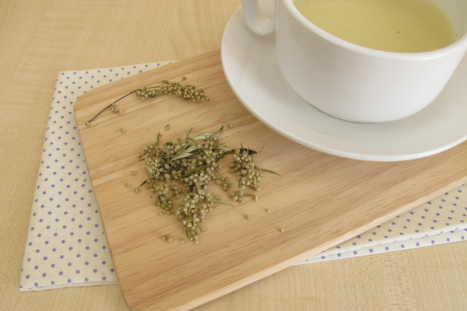 mugwort and a freshly brewed cup of herbal tea
