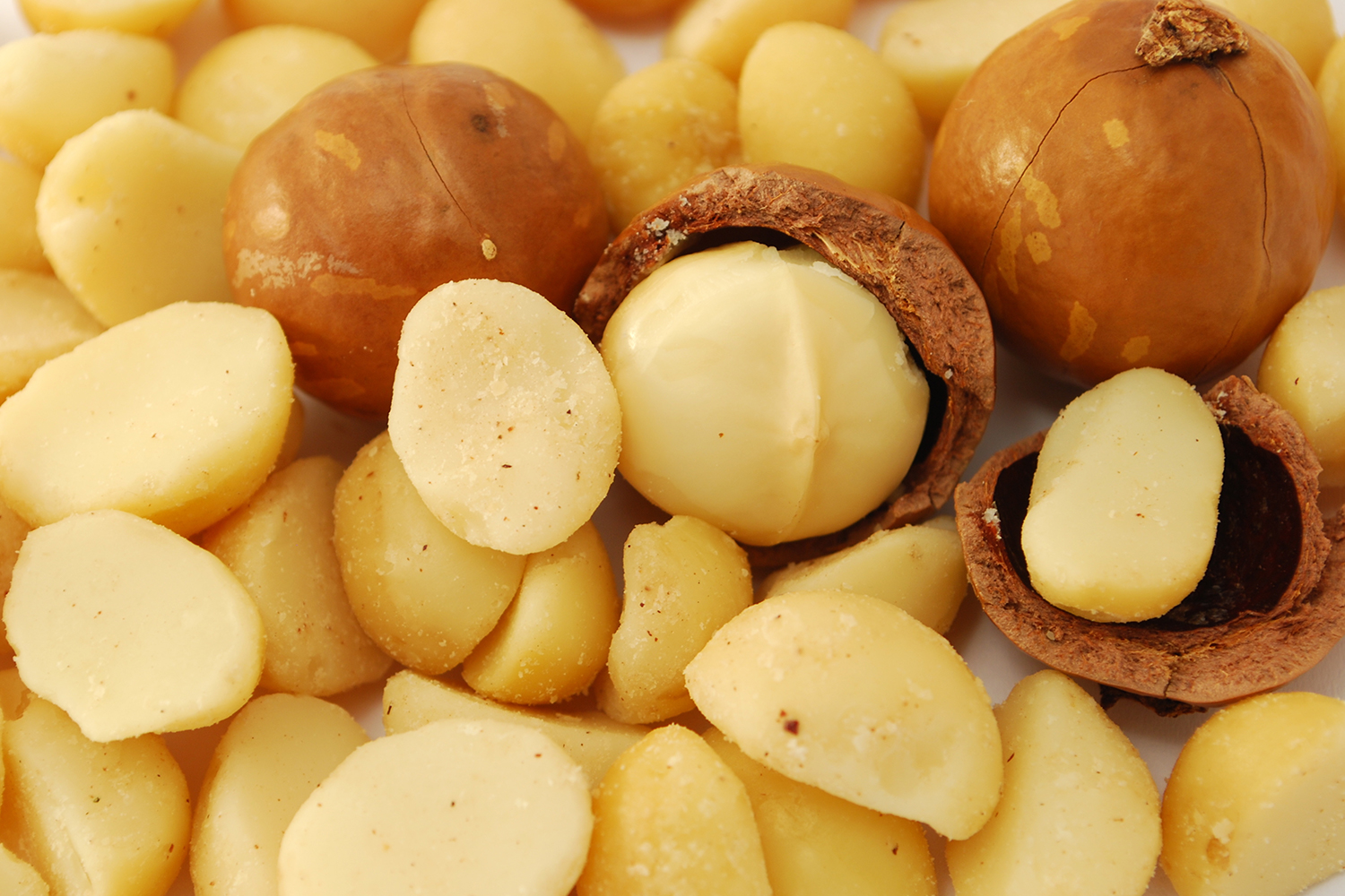 shelled macadamia nuts