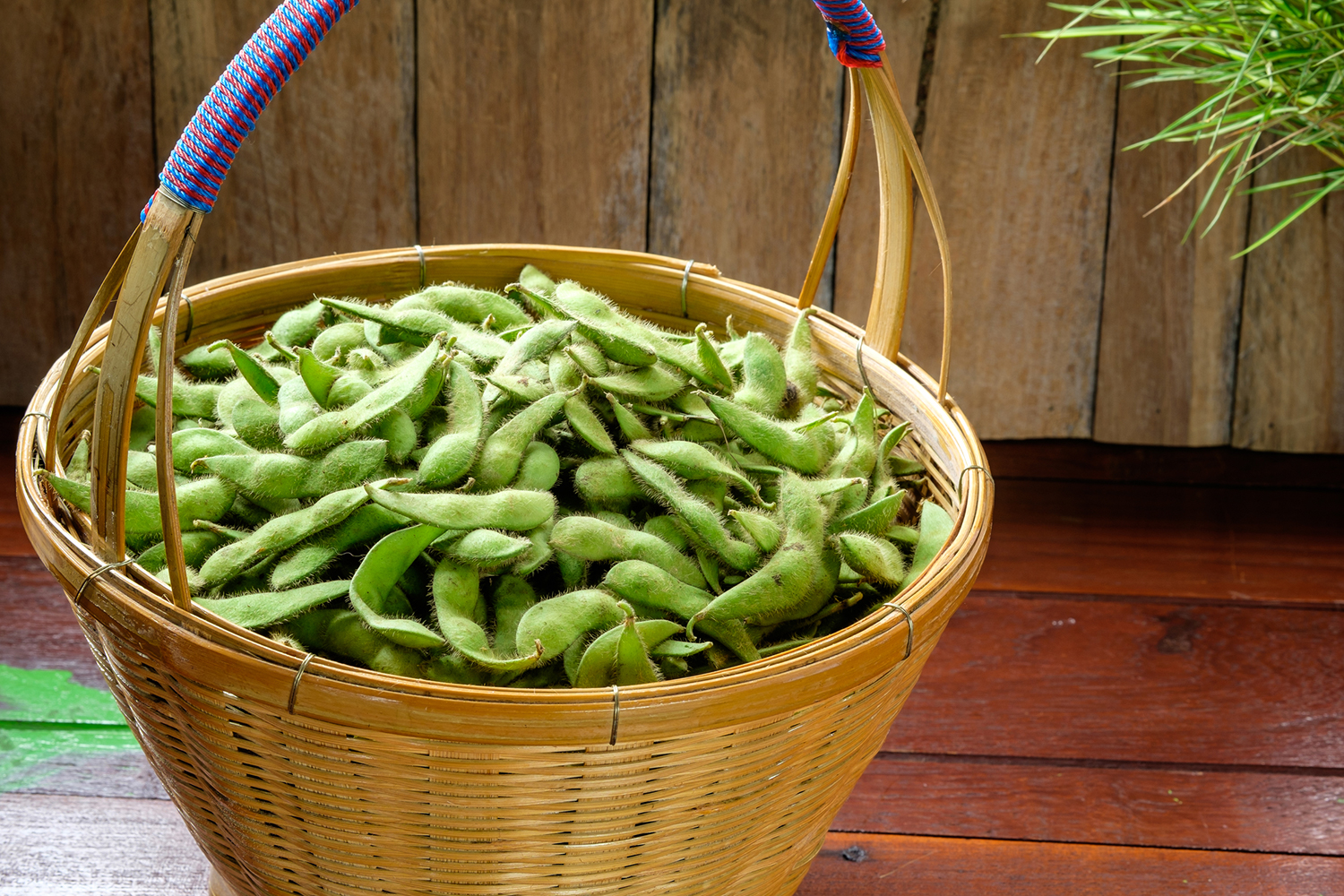 Fresh edamame in a basket.