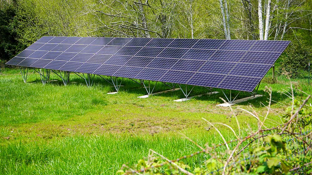 solar panels in a field on a farm