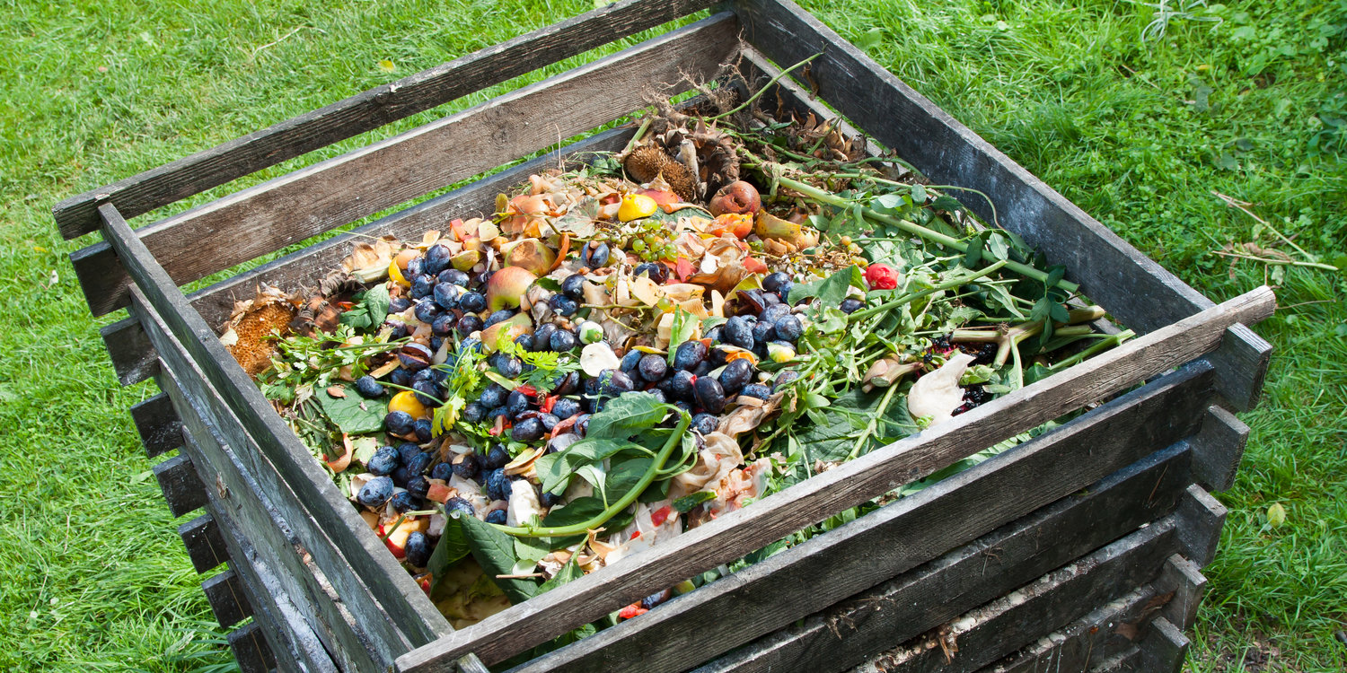 Compost Pile