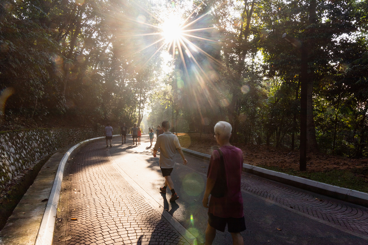 a group of strangers taking a brisk walk in the park
