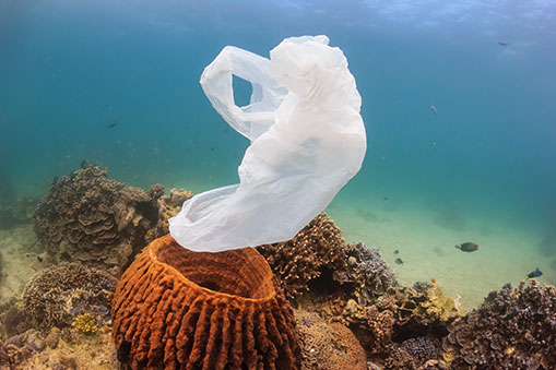 plastic bag floating in the ocean
