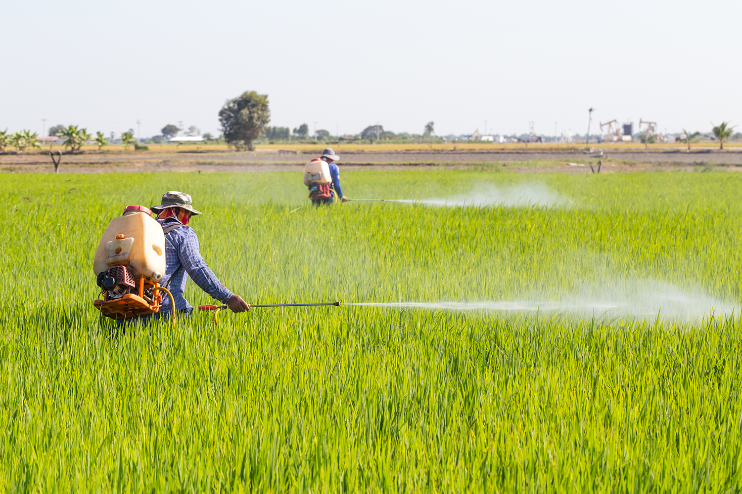 Solving The Arsenic Problem Taste For Life