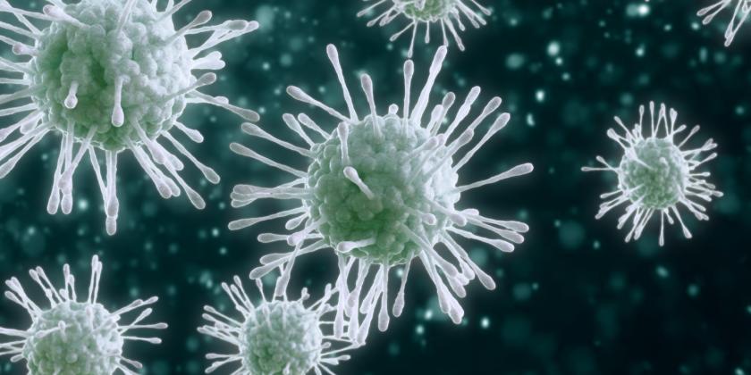 A 3d rendering of a virus in the human system