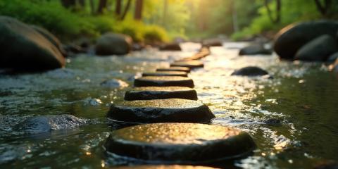 Smooth rocks in a river leading into the distant woods.