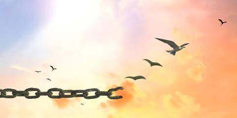 a bird breaking free from a chain and flying into the sun