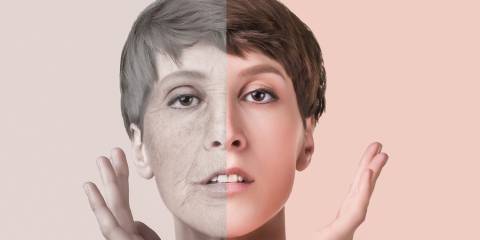 a woman whose face is half young and half old