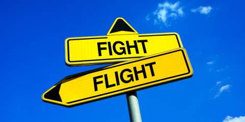 two roadsigns indicating a choice between fight or flight