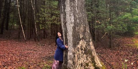 Amy hugging a very tall tree at the edge of the woods