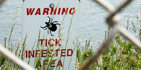 A sign beyond a fence next to a body of water warning of a tick infested area.