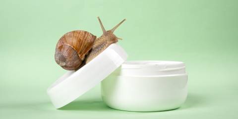 a snail crawling up into a jar of skin cream