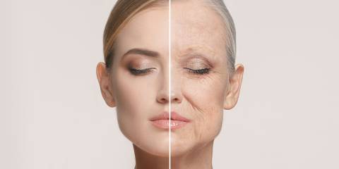a woman with one half of her face young, and the other is old