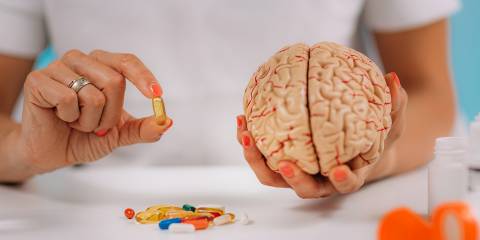 a woman holding a model brain and healthy supplements