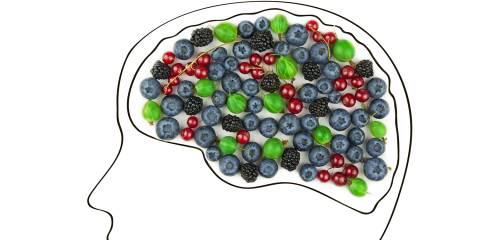 a drawing of a head with a brain filled with berries