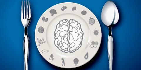 A place setting.A white plate with an outline drawing of a brain, the outer plate edges drawings of brain foods.