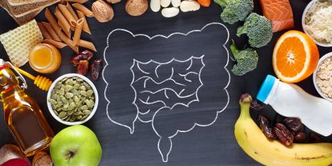 a drawing of an intestine, and a bunch of foods that are good for digestion