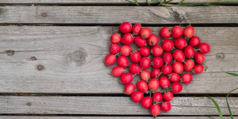 Red heart of hawthorn berries on a wooden background. 