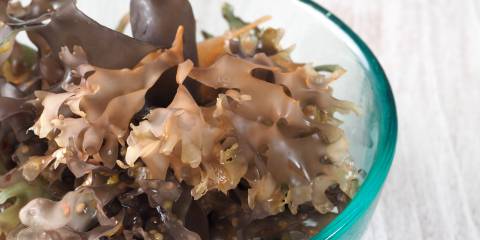 a bowl of sea moss, an edible sea vegetable