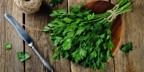 a spring of fresh parsley and gardening tools