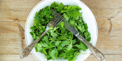 a bowl of fresh cilantro