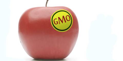 GMO Label apple