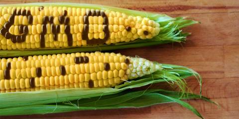 Your NonGMO Resource Page