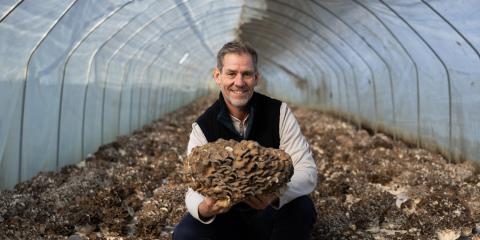 Man in a greenhouse holding up Maitake mushroom.