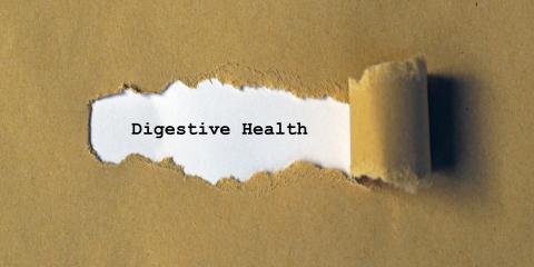 Brown paper ripped to reveal the words digestive health typed on white paper beneath.