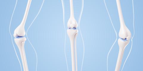 image of cartilage between bone