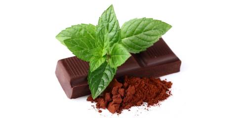 Chocolate, cocoa powder and mint leaves