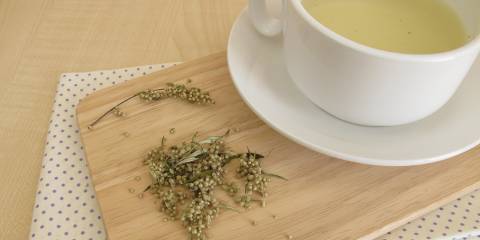 mugwort and a freshly brewed cup of herbal tea
