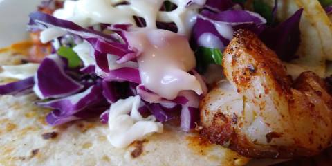 grilled shrimp on a tortilla with red cabbage and greek yogurt