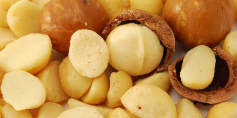 shelled macadamia nuts