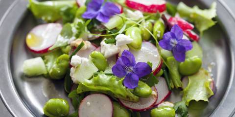 a fresh garden salad with violets