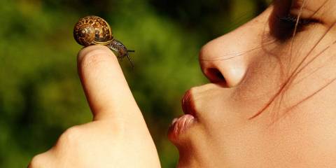 girl kissing slug