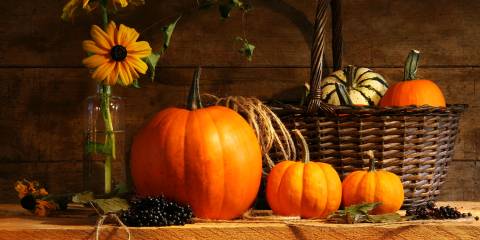 pumpkins ready to be carved