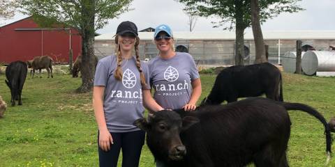 two employees of Ancient Nutrition in a field with livestock