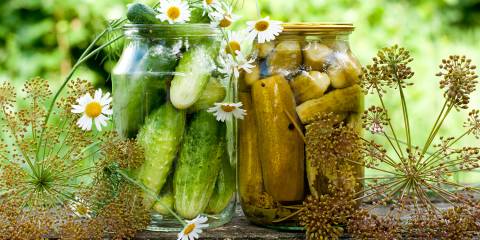 DIY pickle canning at home