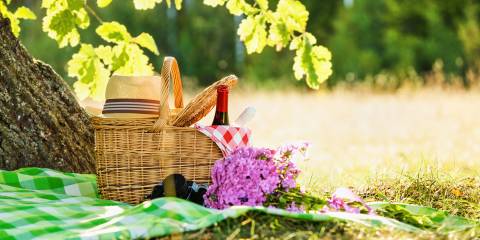 A picnic blanket, basket, camera and picked flowers under an oak tree.