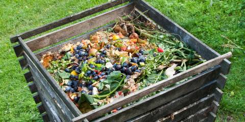Compost Pile