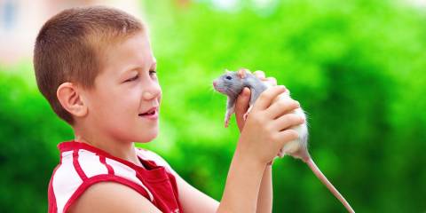 Boy and pet mouse.