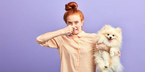a woman pinching her nose while holding a stinky dog